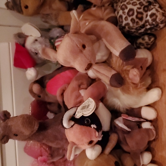 Beanie Baby Bundle (20) - Picture 3 of 6